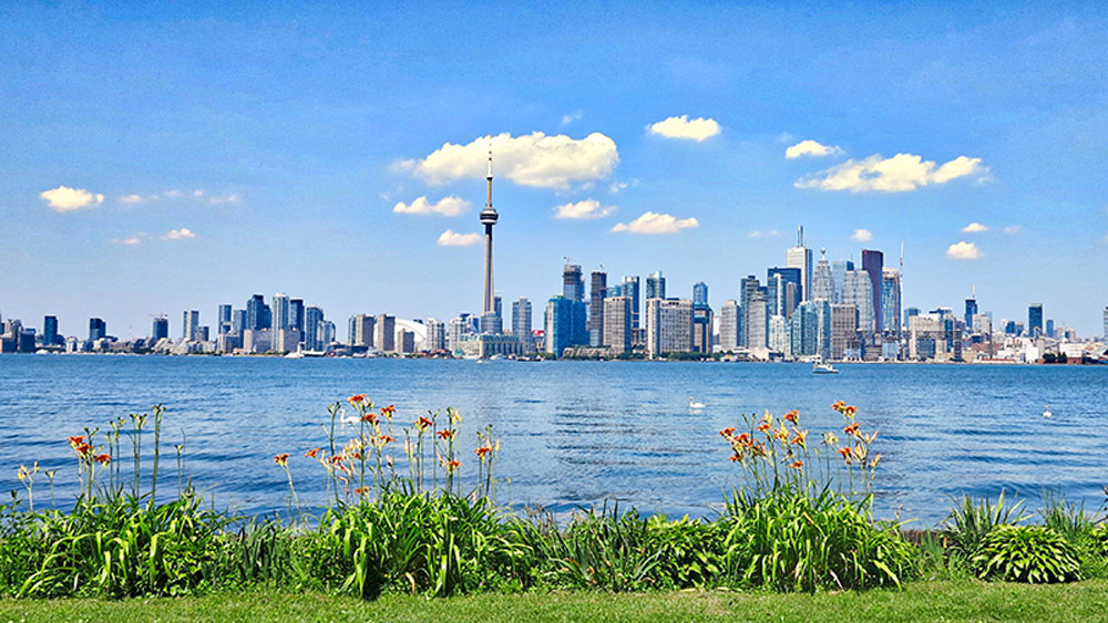Toronto Landscape
