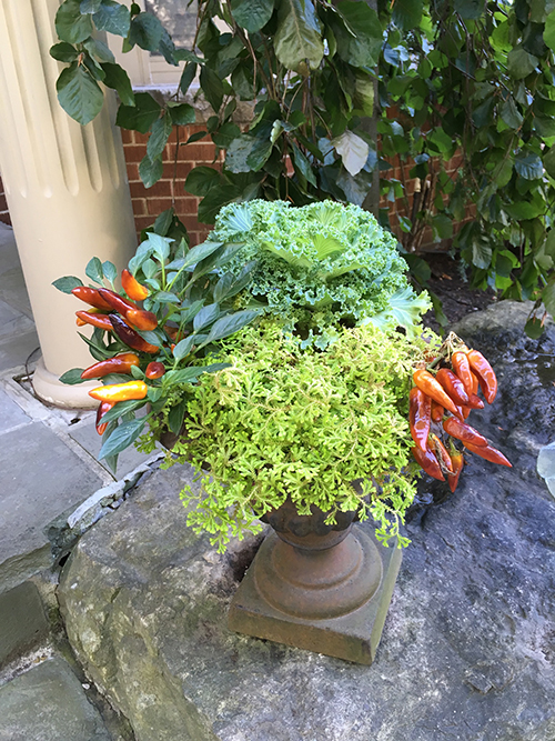 Fall vase
