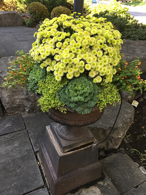 Fall vase