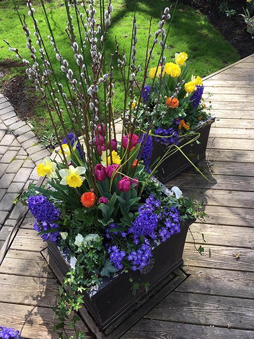 Spring vase