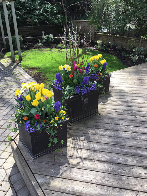 Spring vase