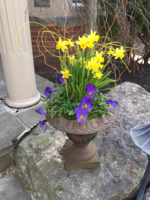 Spring vase