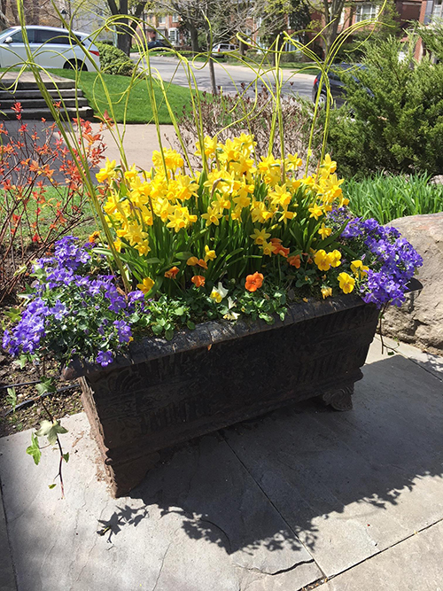 Spring vase