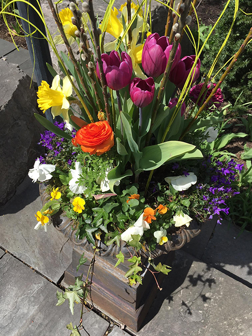 Spring vase
