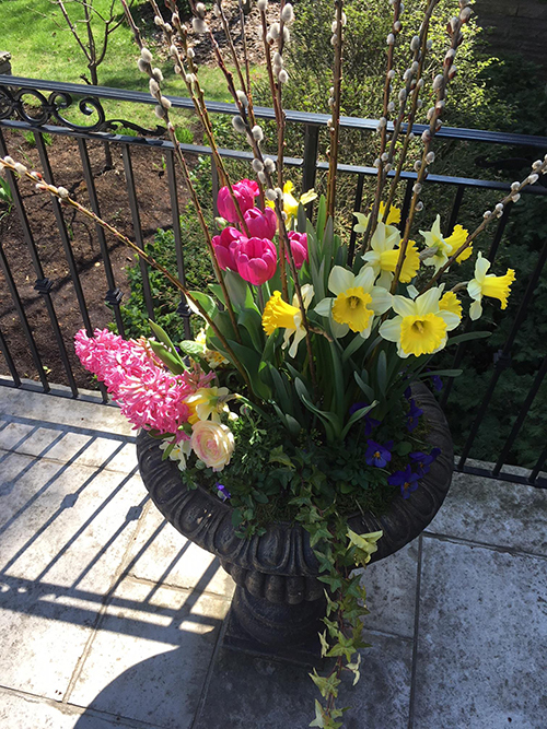 Spring vase