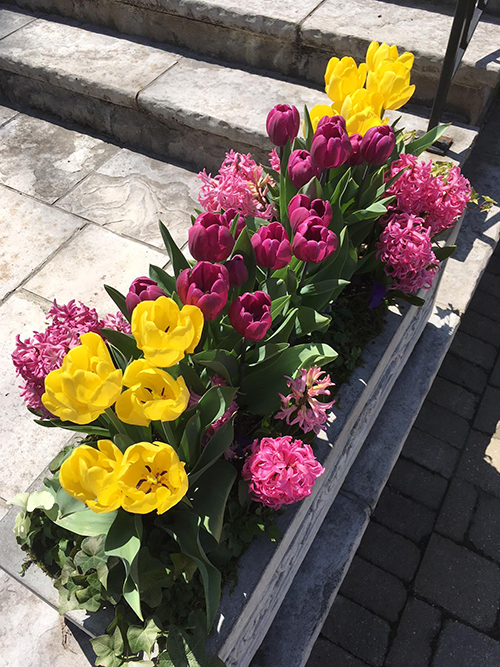 Spring vase