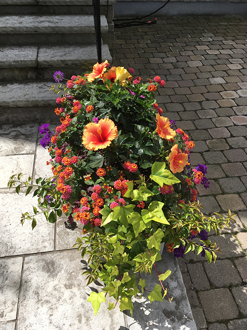 Summer vase