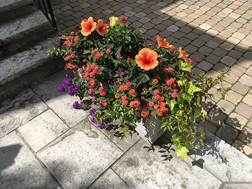 Summer vase